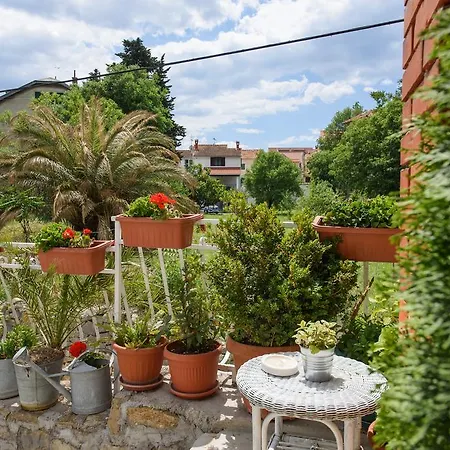 Apartamento Rino